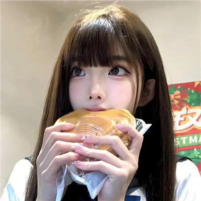 汉化日记 封面