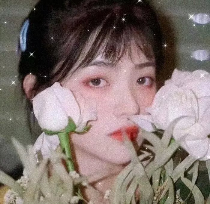 动物园看守 封面